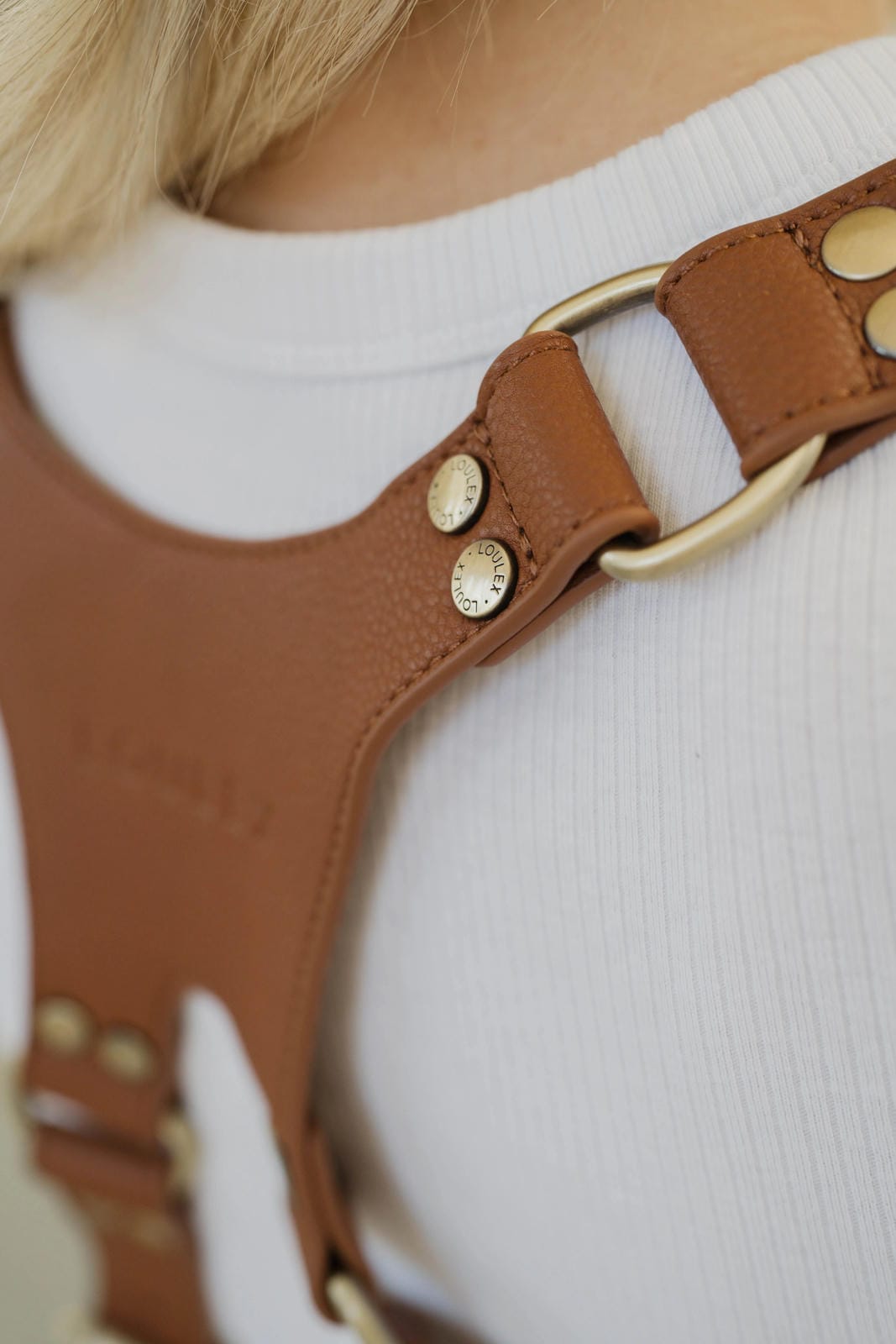 Brown leather harness with gold hardware on a white background