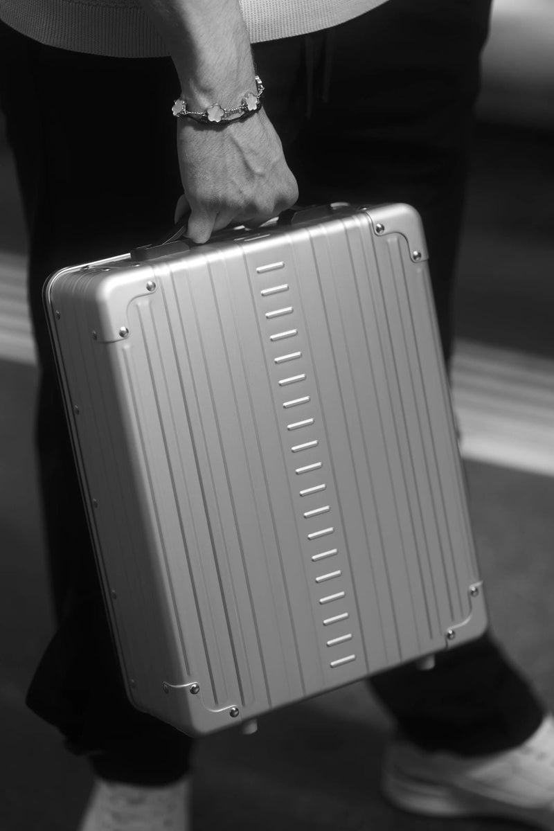 LOULEX-ALEON 16" HYBRID-CAMERABAG-PLATIN