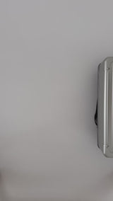 LOULEX-ALEON 16" HYBRID-CAMERABAG-PLATIN